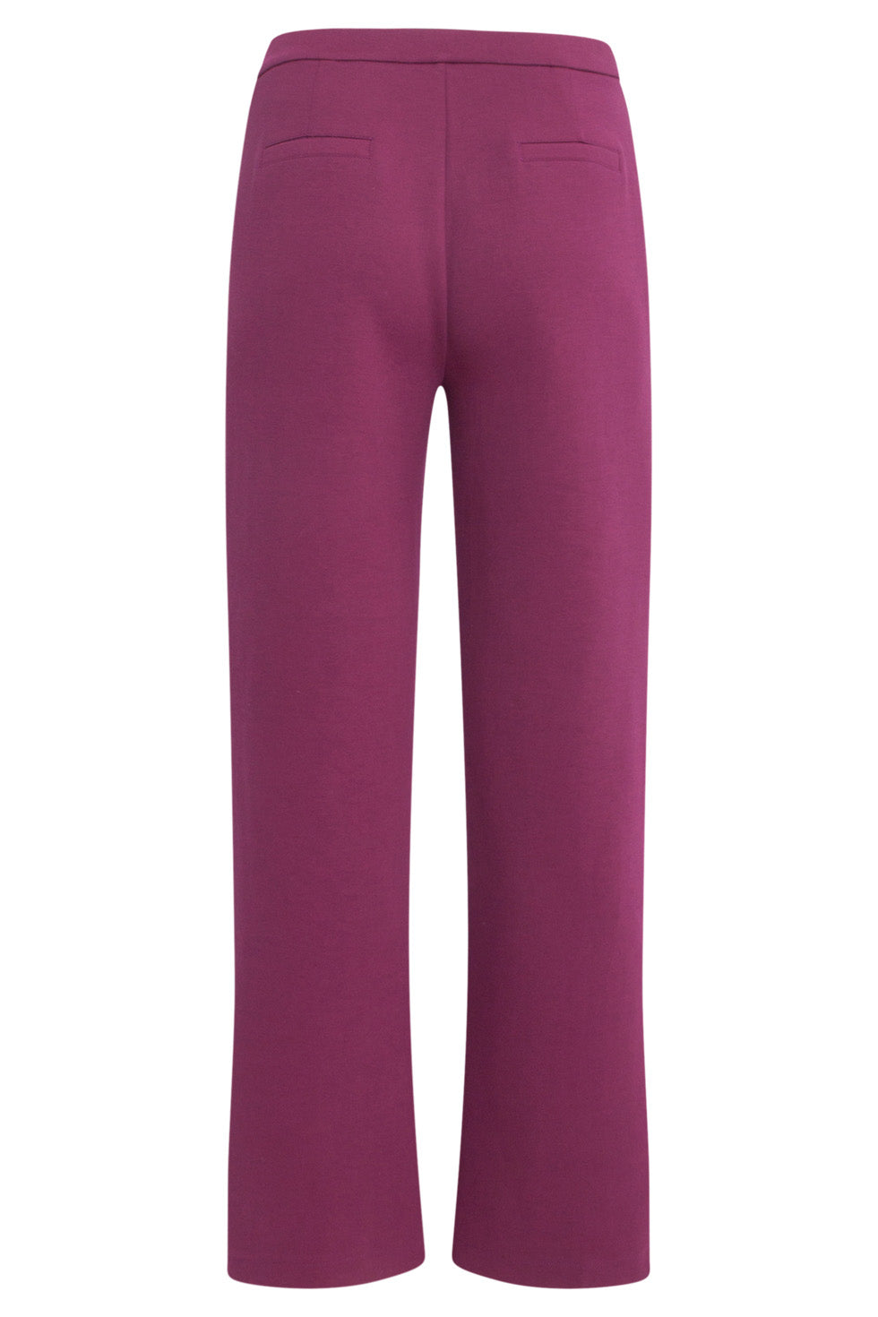 24590 Stretchy Paarse Flared Broek