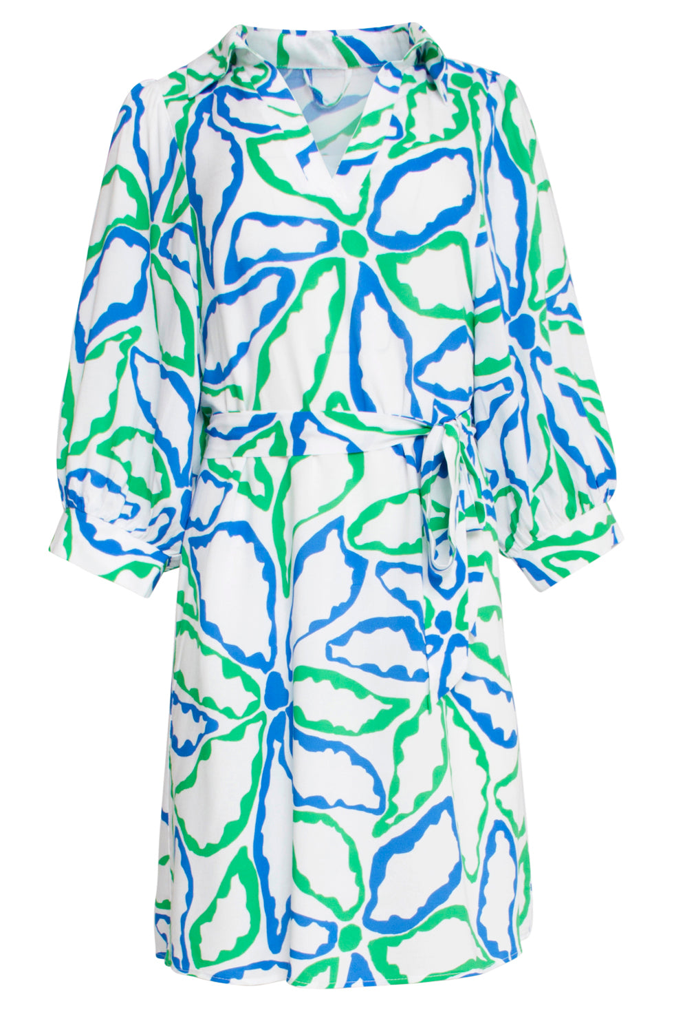 25052 Korte Jurk Met Kraag En Grafisch Bloemenprint In Cobalt Blauw En Groen